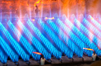 Dallington gas fired boilers
